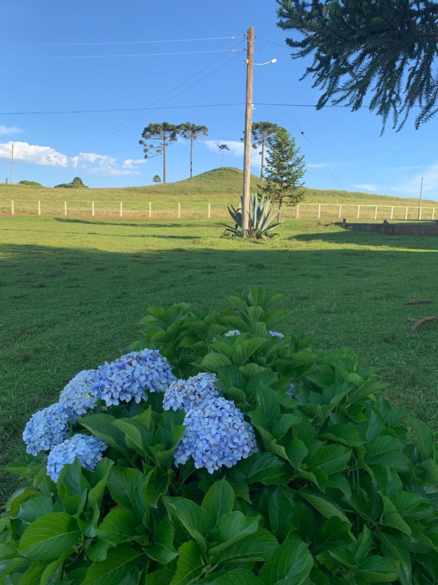 Pousada Fazenda Paim Sao Jose dos Ausentes Exterior photo